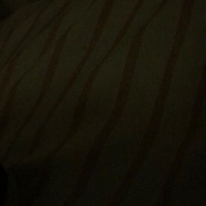 Meet your Posher, Sesley